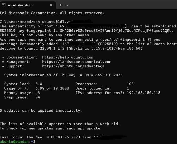 windows-008.jpg