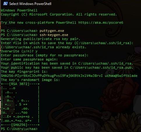 windows-001.jpg